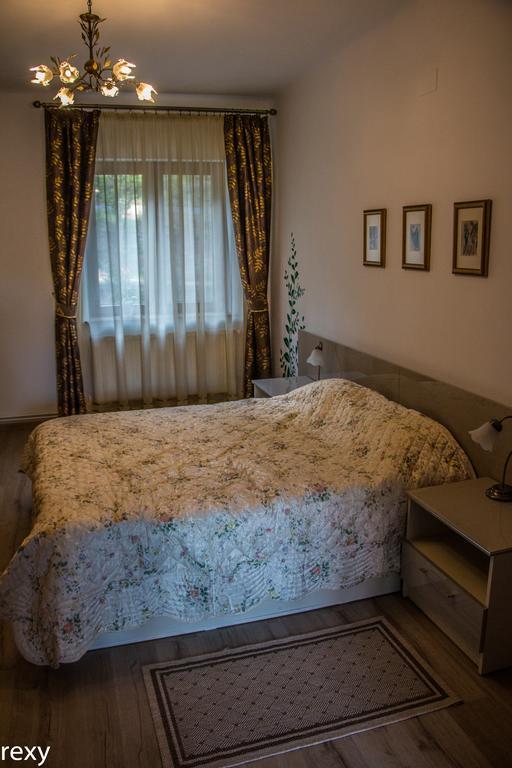 Chic Apartment Braşov Buitenkant foto