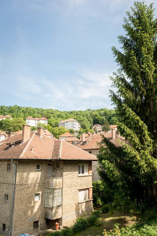 Chic Apartment Braşov Buitenkant foto