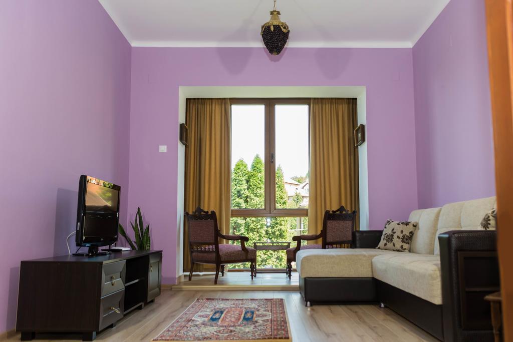 Chic Apartment Braşov Buitenkant foto